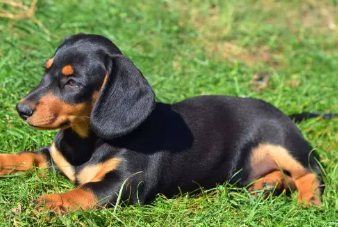 Screenshot 2023-12-12 at 0.58.25.png