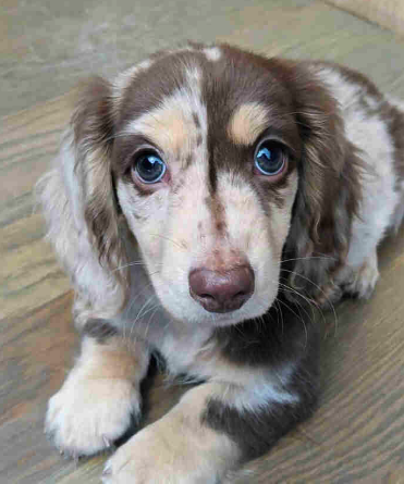 Screenshot 2023-12-12 at 0.55.42.png