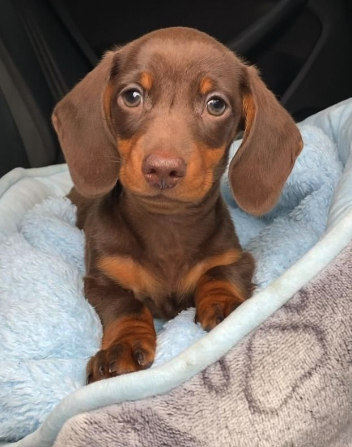 Screenshot 2023-12-12 at 1.00.45.png