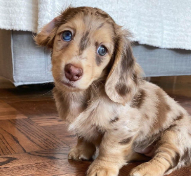 Screenshot 2023-12-12 at 0.55.30.png